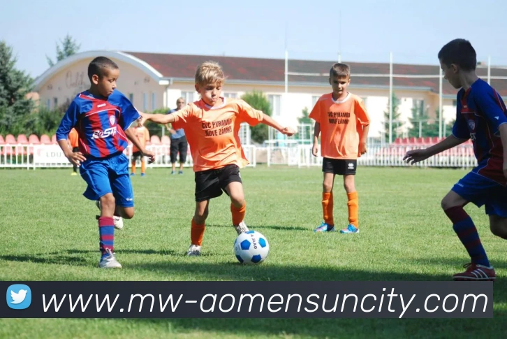 澳门太阳城网站平台生态图